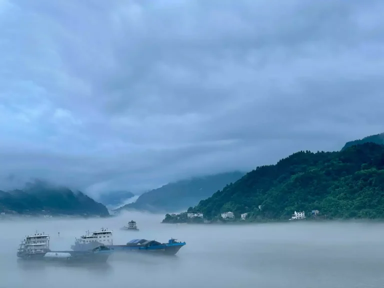 端午节在路上图2