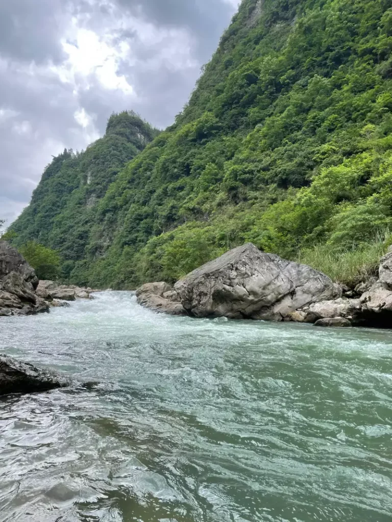 端午节在路上图3