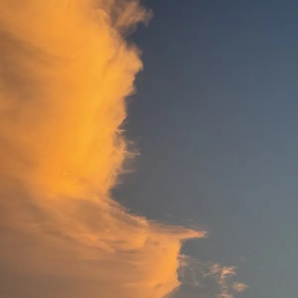 天空的云 - 夕阳下的云朵